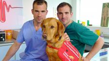 S2 E9: The Dog Who Saves Lives