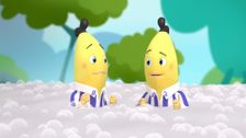 S1 E44: Bubbles
