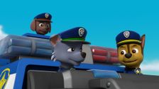 S6 E25: Ultimate Rescue: Pups Save the Opening Ceremonies; Ultimate Rescue: Pups Save the Adventure Bay Games