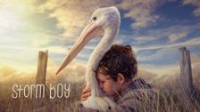 Storm Boy