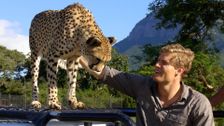 S3 E1: Bondi Vet