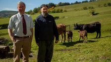 S4 E8: The Yorkshire Vet