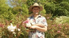 S2 E16: Tate Hancox, Volunteer, Adelaide Botanic Garden