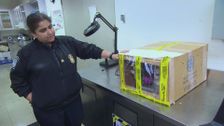 S5 E16: Border Security: International