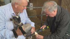 S10 E6: The Yorkshire Vet