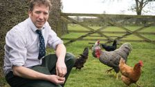 S6 E5: The Yorkshire Vet