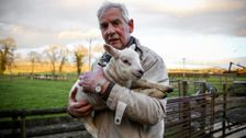 S8 E1: The Yorkshire Vet