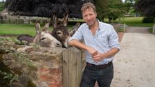 S7 E3: The Yorkshire Vet