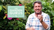 The Garden Gurus