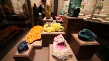 S1 E6: The Museum of Natural History Heist