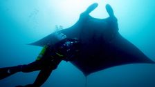 S4 E6: Ecuador Oceans
