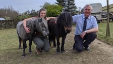 S13 E1: The Yorkshire Vet