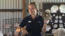 S6 E13: The Great Australian Doorstep