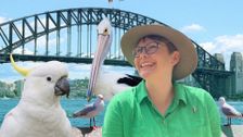 S1 E1: Sydney