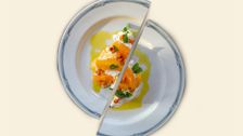 S5 E4: Sea Buckthorn