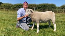 S18 E2: The Yorkshire Vet