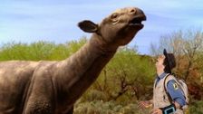 S1 E22: Paraceratherium and Skin