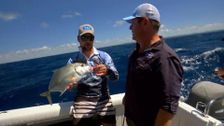 S20 E40: Creek to Coast