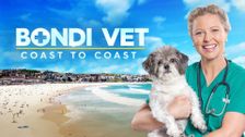 Bondi Vet: Coast to Coast