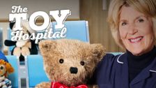 The Toy Hospital