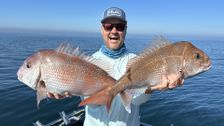 S19 E12: IFISH