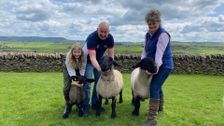 S18 E3: The Yorkshire Vet