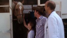 S5 E3: They Treat Horses, Don't They?