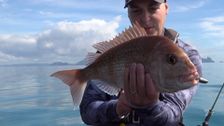 S10 E4: In-Depth Fishing