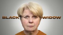 Black Widow: The Murder of David Jackson