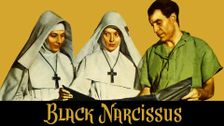 Black Narcissus