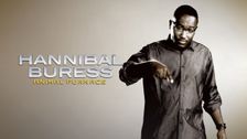 Hannibal Buress: Animal Furnace