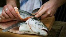 S1 E29: MasterChef Australia