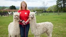 S5 E3: The Yorkshire Vet