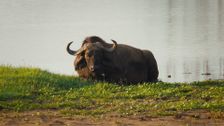 S1 E4: Great Rift Valley / The Kimberley