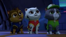 S7 E1: Mighty Pups Charged Up: Pups Stop a Humdinger Horde; Mighty Pups Charged Up: Pups Save a Mighty Lighthouse