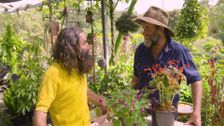 S30 E14: Gardening Australia