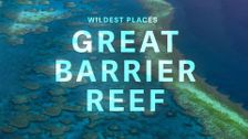 Wildest Places: Great Barrier Reef