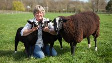S4 E3: The Yorkshire Vet