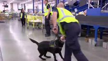 S13 E13: Border Security: Australia's Front Line