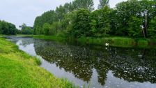 S2 E5: The River Teviot