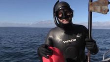 S7 E1: Light Tackle Action