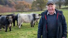 S3 E11: The Yorkshire Vet