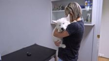 S13 E4: Bondi Vet