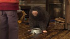 S1 E37: The Sound of Mole