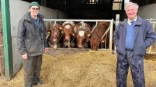 S12 E7: The Yorkshire Vet