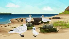 S3 E1: To Each His Nest