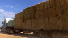 S7 E8: Outback Truckers
