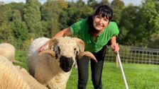S16 E3: The Yorkshire Vet