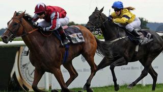 Seven's Horse Racing