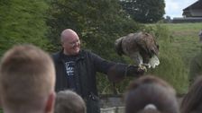 S10 E7: The Yorkshire Vet